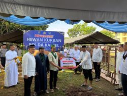 Jelang Idul Adha 1447 H, Kapolda Kalsel Salurkan Sapi Kurban untuk Badko HMI