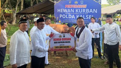 Sinergi Polda Kalsel dan IMM Menggema di Iduladha, 300 Paket Daging Kurban Dibagikan untuk Masyarakat