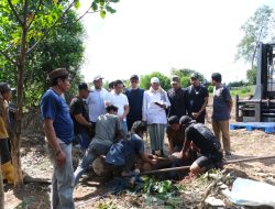 Semangat Iduladha 1447 H, Satukan Insan PLN Indonesia Power UBP Asam Asam dalam Aksi Kurban dan Gotong Royong