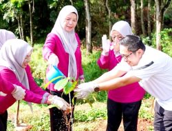 Hijaukan Tanah Laut, GOW dan DPRKPLH Perkuat Aksi Iklim Lewat Penanaman Pohon dan Bank Sampah