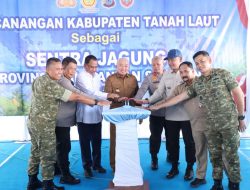 Sentra Jagung Kalsel Resmi Dimulai, Gubernur H. Muhidin: Tanah Laut Jadi Pilar Ketahanan Pangan