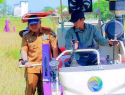 Panen Raya Serentak 11 Kecamatan, Bupati Tala Pacu Produksi Padi Tembus 200 Ribu Ton